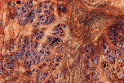 Chechen Burl 340x260x30mm - ChechM0327