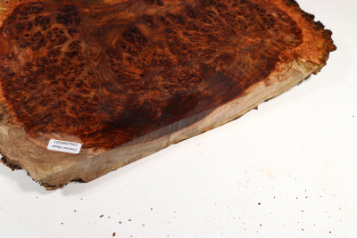 Chechen Burl 340x260x30mm - ChechM0327