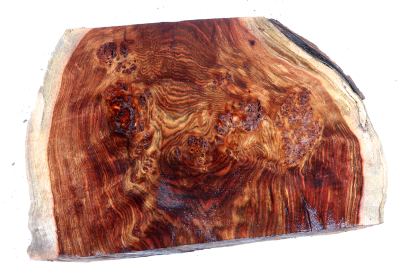 Chechen Burl 380x265x55mm - ChechM0322