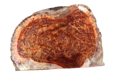 Chechen Burl 380x265x55mm - ChechM0322