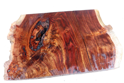 Maserplatte Chechen Maser 440x280x58mm - ChechM0329