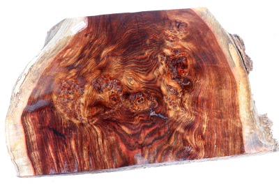 Maserplatte Chechen Maser 440x280x58mm - ChechM0329