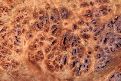 Chechen Burl 450x250x70mm - ChechM0325