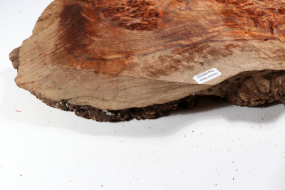 Chechen Burl 450x250x70mm - ChechM0325