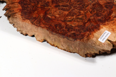 Chechen Burl 510x270x40mm - ChechM0321