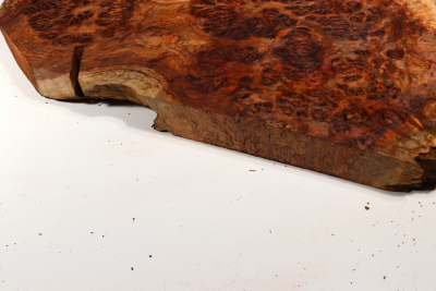 Chechen Burl 540x280x35mm - ChechM0328