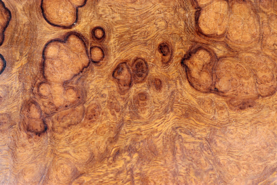 Desert Ironwood Burl 200x100x6mm - WueM2091