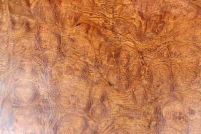 Desert Ironwood Burl 200x100x6mm - WueM2091