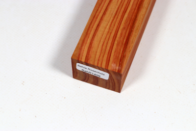 Knife Block Brazilian Tulipwood - BahR1409