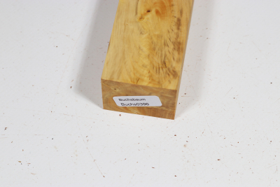 Messergriffblock Buchsbaum Maser - Buchs0396