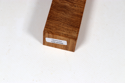 Knife Block Brown Ash XCut - OliEs0286