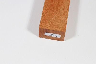 Knife Block Platanus Burl - Plata0114