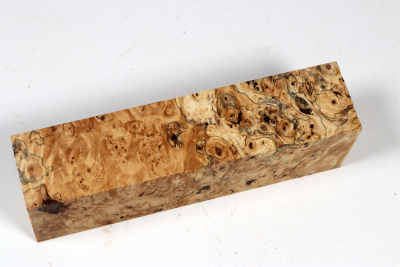 Knife Blank Horse Chestnut Burl stabilized - Stabi3753