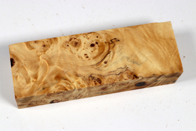 Knife Blank Horse Chestnut Burl stabilized - Stabi37810