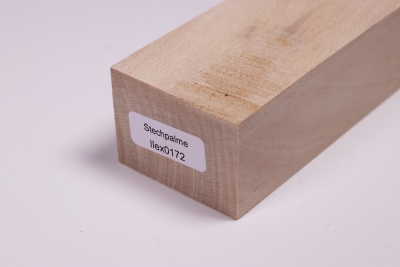 Messergriffblock Stechpalme - Ilex0172