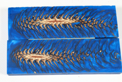 Messergriffschalen Tannenzapfen blau - Hybrid0113