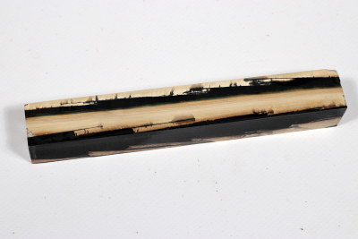 Pen Blank Mammoth Ivory stabilzed - Mamm0259