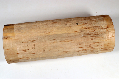 Rundling Karelische Maserbirke, gestockt 285x105mm - KarMB2852