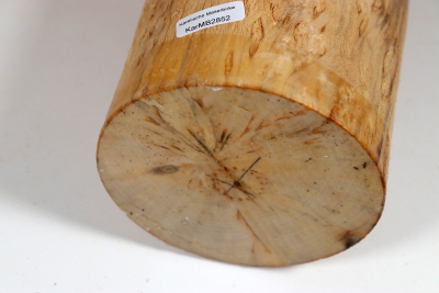 Rundling Karelische Maserbirke, gestockt 285x105mm - KarMB2852