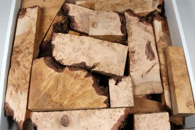 Sortimentbox Goldschmiede - Birke Maser  - Goldbox2171