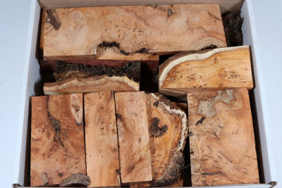 Sortimentbox Goldschmiede - Eibe Maser - Goldbox2151 Sortimentbox Goldschmiede - Eibe Maser - Goldbox2151