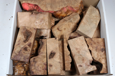 Assortment Box Goldsmith - Golden Madrone Burl  - Goldbox2269