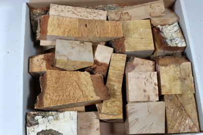 Sortimentbox Goldschmiede - Karelische Maserbirke - Goldbox2133 Sortimentbox Goldschmiede - Karelische Maserbirke - Goldbox2133