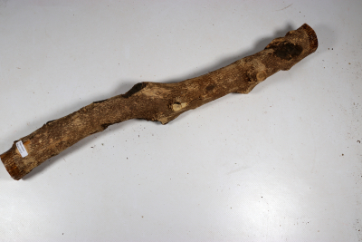 Boxwood 550x50mm - Buchs0412