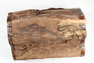 African Blackwood 225x150 mm - Gren0625