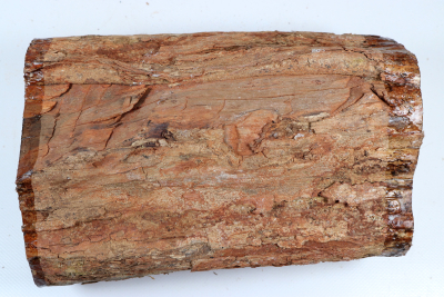 African Blackwood 240x150 mm - Gren0624