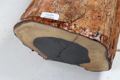 African Blackwood 240x150 mm - Gren0624