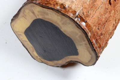 African Blackwood 240x150 mm - Gren0624