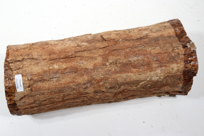 Stammabschnitt Grenadill 290x120 mm - Gren0546