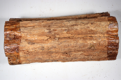 African Blackwood 330x150 mm - Gren0392