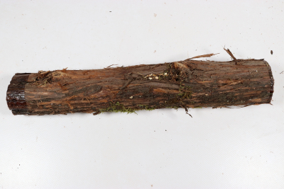 Juniper french 315x50mm - Wach0492