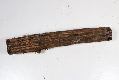 Stammabschnitt franz. Wacholder 320x45mm - Wach0483