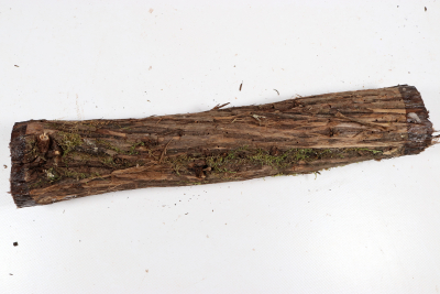 Juniper french 330x60mm - Wach0496