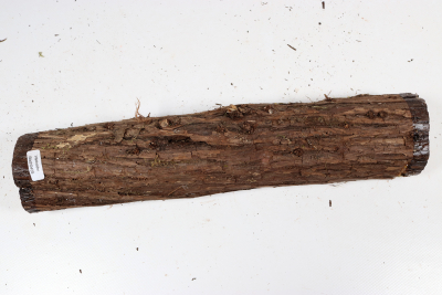 Juniper french 330x65mm - Wach0485