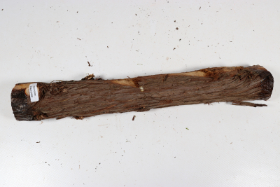 Juniper french 335x45mm - Wach0488