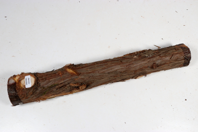 Juniper french 345x50mm - Wach0482