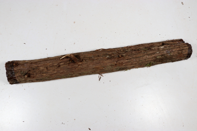 Juniper french 420x50mm - Wach0495