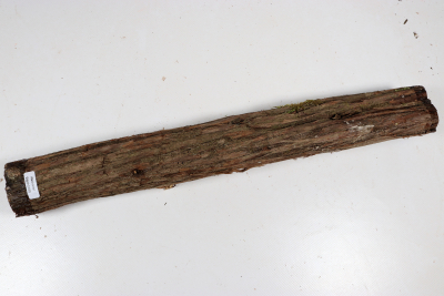 Juniper french 420x50mm - Wach0495