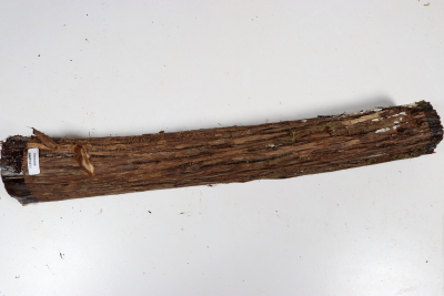 Juniper french 420x60mm - Wach0489