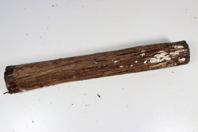 Juniper french 420x60mm - Wach0489