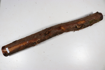 Juniper french 540x55mm - Wach0493