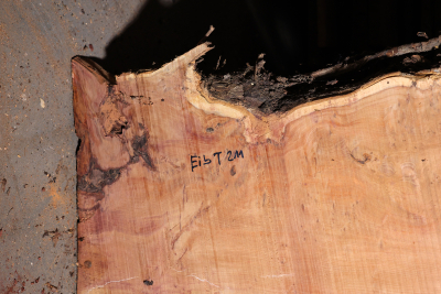 Tischplatte - Tabletop Eibe Maser 2570x670-890x75mm - EibT0211