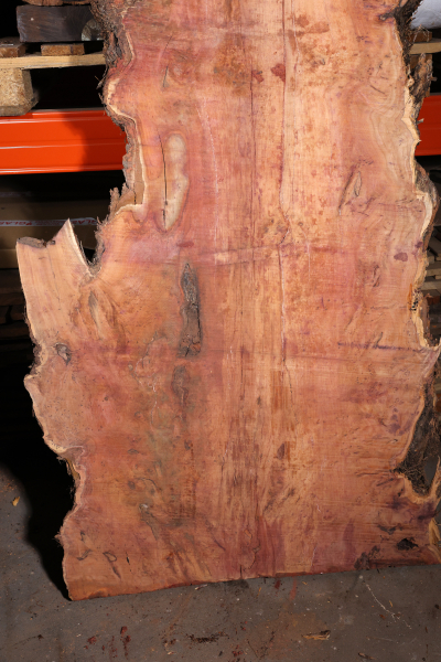 Tabletop Yew Burl 2570x540-930x75mm - EibT0210