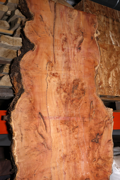 Tabletop Yew Burl 2570x540-930x75mm - EibT0210