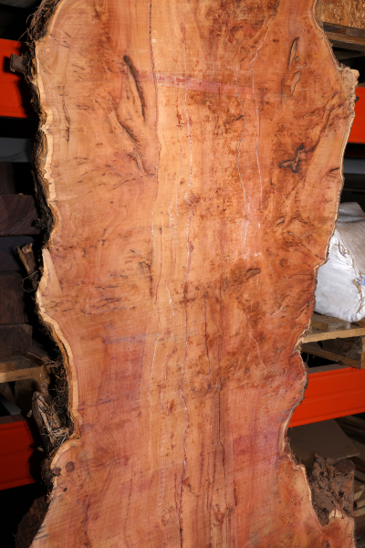 Tabletop Yew Burl 2570x540-930x75mm - EibT0210