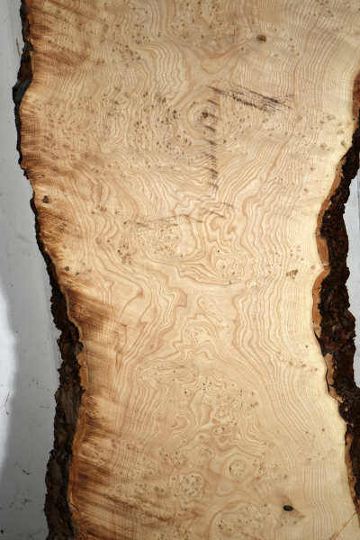 Tabletop Ash Burl 1900x680x68mm - TTTP0037